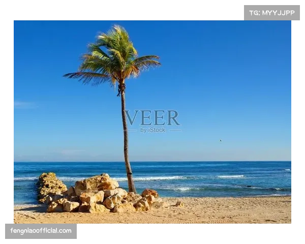 海地苏格兰加勒比挑战 海岛球队首次亮相面临欧洲球队整体性